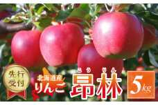 【2025年10月中旬以降発送分先行予約】りんご（昂林） 5kg