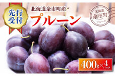 【2025年9月上旬以降発送分先行予約】プルーン 400g×4パック