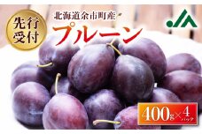 【2025年9月上旬以降発送分先行予約】プルーン 400g×4パック