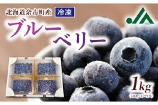 甘い! ジューシー! 余市町産冷凍ブルーベリー 250g×4パック 北海道産ブルーベリー 北海道ブルーベリー 余市産ブルーベリー 余市町ブルーベリー  ブルーベリー 1kg フルーツ 冷凍フルーツ 果物