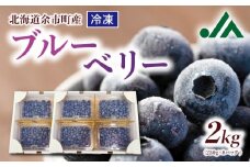 冷凍ブルーベリー 250g×4パック×2箱 北海道産　甘くてジューシー 余市産 ブルーベリー 250g × 4パック × 2箱 合計 2kg 冷凍 北海道産 国産 高い栄養価 抗酸化作用 高血圧予防 フルーツ 果物 小分け パック スムージー ジュース バラ詰め ( 大 ･ 中 ･ 小 ) 不揃い お取り寄せ 北海道 余市町 送料無料