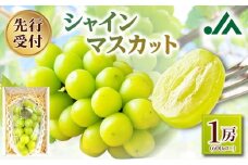 【2025年度10月上旬以降発送分先行予約】シャインマスカット 1房（600g以上）