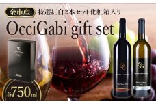 【OcciGabi Winery】特選紅白２本セット化粧箱入り　【余市のワイン】余市 北海道 ワイン 紅白ワイン 白ワイン 赤ワイン 2本セット 人気ワイン 余市のワイン 北海道のワイン 日本のワイン お酒