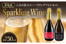 【OcciGabi Winery】人気の紅白スパークリング・ワイン・セット　特別なおもてなしに スパークリング ワイン 紅白セット 750ml ×各1本 オチガビワイナリー 北海道 余市町産 飲み比べ ぶどう アルコール お酒 濃厚 フレッシュ 飲みやすい ギフト お祝い パーティー お取り寄せ 送料無料