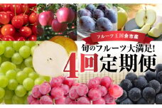 【ニトリ観光果樹園が贈るフルーツ王国定期便！】旬のフルーツ満足の4回発送コース