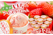 北海道いちごアイスクリーム 110ml×12個セット ギフト