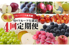 【ニトリ観光果樹園が贈るフルーツ王国定期便！】豪華！！旬のフルーツ4回発送コース