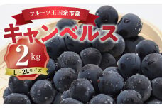 フルーツ王国余市産「キャンベルス」2kg【ニトリ観光果樹園】ぶどう