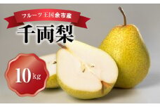 フルーツ王国余市産「千両梨」10kg【ニトリ観光果樹園】　【先行販売】果物好き必見 余市産 千両梨 10kg 10月発送分 北海道 余市町 ニトリ観光果樹園 梨 洋梨 冷蔵 フルーツ 果物 秋の味覚 デザート 果実 甘味 特有の香り グルメ お取り寄せ 送料無料
