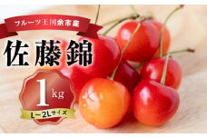 2025年発送【先行予約】令和7年産 佐藤錦【L～2Lバラ詰め】500g×2 【ニトリ観光果樹園】さくらんぼの王様 余市 北海道 フルーツ王国 さくらんぼ サクランボ 桜桃 佐藤錦 余市産さくらんぼ 人気さくらんぼ ニトリ