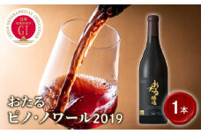 【北海道ワイン】おたる ピノ・ノワール 2019　【余市のワイン】 余市 北海道 赤ワイン ピノノワールワイン 北海道のワイン 余市のワイン 日本のワイン 国産ワイン 国際コンクール受賞ワイン お酒