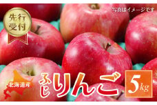 【2025年11月下旬以降発送分先行予約】りんご (ふじ)  5kg