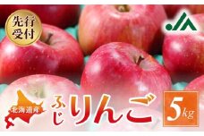 【2025年11月下旬以降発送分先行予約】りんご (ふじ)  5kg