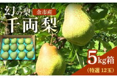 2024年9月下旬発送予定【先行予約】特選千両梨　北海道余市町産　シャキシャキとした食感とサッパリとした甘みが特徴 季節限定 千両梨 季節の味覚 5kg 箱 12玉 梨 ほぼ余市町でしか生産されていない 果物 フルーツ 贈り物 ギフト フルーツギフト お取り寄せ 北海道 余市町産 送料無料
