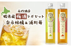 高砂酒造　蝦夷蔵梅酒ラボセット〈余市林檎＆浦川苺〉各1本
