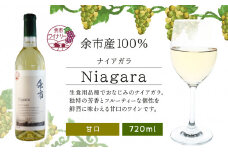 ナイアガラ 720ml＜余市ワイン＞