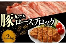 【北島麦豚】ロースブロック丸ごと ２kg