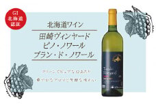 【北海道ワイン】 田崎ヴィンヤード ピノ・ノワール ブラン・ド・ノワール2021　【余市のワイン】 限定醸造 国産ワイン 北海道産ワイン 余市町産ワイン 白ワイン 辛口 GI北海道認定ワイン お酒 750ml 