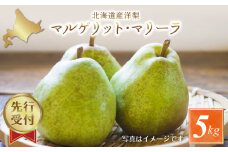 【先行予約：2025年9月中旬以降発送】洋梨（マルゲリット・マリーラ）5kg