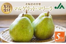 【先行予約：2025年9月中旬以降発送】洋梨（マルゲリット・マリーラ）5kg
