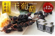 【ギフトボックス】余市産完全無添加干し葡萄DIONYSOS 12箱セット