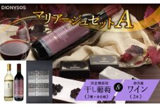 【ギフトボックス】余市産完全無添加干し葡萄と余市産セレクトワインのマリアージュセット ～A～