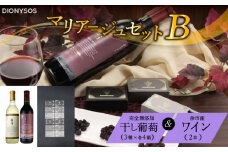 【ギフトボックス】余市産完全無添加干し葡萄と余市産セレクトワインのマリアージュセット ～B～
