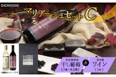 【ギフトボックス】余市産完全無添加干し葡萄と余市産セレクトワインのマリアージュセット ～C～