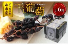 【ギフトボックス】余市産完全無添加干し葡萄DIONYSOS 6箱セット