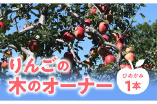 りんごの木のオーナー【品種：ひめかみ】