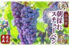 【先行受付：2024年9月下旬以降発送】スチューベン　数量限定　秀品　余市町野崎農園　約2kg【産地直送】