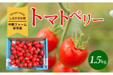 〔先行受付〕しおかぜの畑 中野ファーム 余市産 トマトベリー1.5kg(2025年初夏発送)　ミニトマト