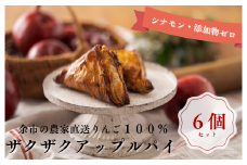 【ザクザク薫るアップルパイ（6個入）】余市 札幌 北海道 人気店 りんご 林檎 こだわり お菓子 スイーツ 本格 催事 デパート こだわりアップルパイ 余市アップルパイ 人気アップルパイ 本格アップルパイ ザクザクアップルパイ
