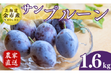 【先行受付：2025年10月上旬以降発送】余市産 サンプルーン 松村農園産 1.6kg