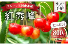 2025年発送【先行予約】令和7年産 紅秀峰【L～2Lバラ詰め】200g×4【ニトリ観光果樹園】余市 北海道 フルーツ王国 さくらんぼ サクランボ 桜桃 紅秀峰 余市産さくらんぼ 人気さくらんぼ ニトリ
