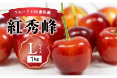2025年発送【先行予約】令和7年産 紅秀峰【Lサイズ】500g×2【ニトリ観光果樹園】余市 北海道 フルーツ王国 さくらんぼ サクランボ 桜桃 紅秀峰 余市産さくらんぼ 人気さくらんぼ ニトリ