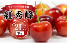 2025年発送【先行予約】令和7年産 紅秀峰【2Lサイズ】500g×2【ニトリ観光果樹園】余市 北海道 フルーツ王国 さくらんぼ サクランボ 桜桃 紅秀峰 余市産さくらんぼ 人気さくらんぼ ニトリ