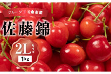 2025年発送【先行予約】令和7年産 佐藤錦【2Lサイズ】500g×2【ニトリ観光果樹園】さくらんぼの王様 余市 北海道 フルーツ王国 さくらんぼ サクランボ 桜桃 佐藤錦 余市産さくらんぼ 人気さくらんぼ ニトリ