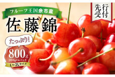 2025年発送【先行予約】令和7年産 佐藤錦【L～2Lバラ詰め】200g×4【ニトリ観光果樹園】さくらんぼの王様 余市 北海道 フルーツ王国 さくらんぼ サクランボ 桜桃 佐藤錦 余市産さくらんぼ 人気さくらんぼ ニトリ