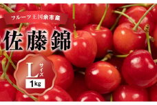 2025年発送【先行予約】令和7年産 佐藤錦【Lサイズ】500g×2【ニトリ観光果樹園】さくらんぼの王様 余市 北海道 フルーツ王国 さくらんぼ サクランボ 桜桃 佐藤錦 余市産さくらんぼ 人気さくらんぼ ニトリ