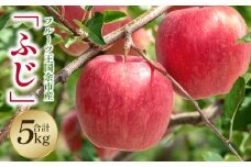 【2024年11月25日以降発送】フルーツ王国余市産「ふじ」5kg【ニトリ観光果樹園】