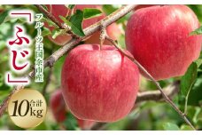 【2024年11月25日以降発送】フルーツ王国余市産「ふじ」10kg【ニトリ観光果樹園】