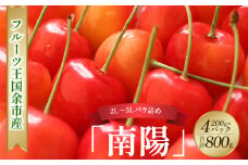 2025年発送【先行予約】令和7年産 南陽【2L～3Lバラ詰め】200g×4【ニトリ観光果樹園】余市 北海道 フルーツ王国 さくらんぼ サクランボ 桜桃 南陽 余市産さくらんぼ 人気さくらんぼ ニトリ