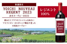 【数量限定】ヨイチヌーヴォー レジェント 2023<キャメルファーム>　余市 北海道 ワイン 赤ワイン ヌーヴォー ヌーボ 国産 キャメル カルディ おすすめワイン 余市のワイン 北海道のワイン 日本のワイン