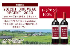 【数量限定】ヨイチヌーヴォーレジェント 2023 2本セット＜キャメルファーム＞　余市 北海道 ワイン 赤ワイン ヌーヴォー ヌーボ 国産 キャメル カルディ おすすめワイン 余市のワイン 北海道のワイン 日本のワイン