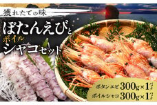 【獲れたての味！】ボタンエビ３００ｇ×１パック・ボイルシャコ３００ｇ×１パック