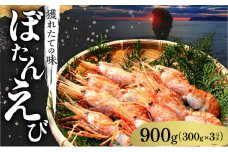 【獲れたての味！】ボタンエビ３００ｇ×３パック