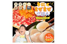 うにくまぜまぜごはん フルセット＋ホタテ付き（ムラサキウニ80g バフンウニ80g×牛とろフレーク180g＋ホタテ500g）【フォーリンデブはっしー監修】