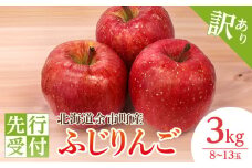 【2025年11月下旬以降発送】訳あり りんご（ふじ）3kg