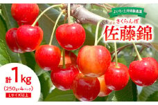 【先行予約：2025年6月下旬以降発送】さくらんぼ【佐藤錦】1kg